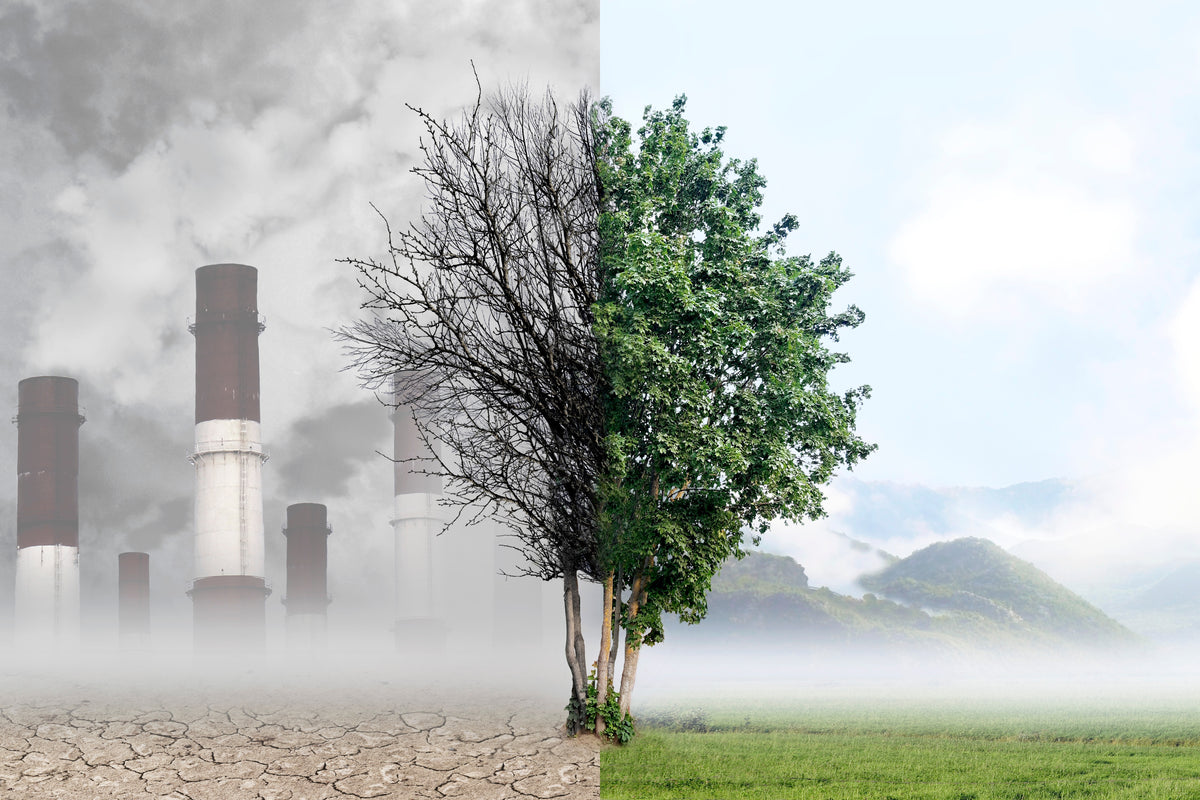 BIOREMEDIATION [[br]] LARGE & SMALL SCALE